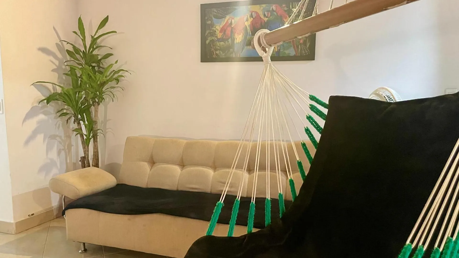 Explora La Magia De Laureles Apartment Medellin Colombia